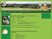Tablet Screenshot of gruenhainichen.de